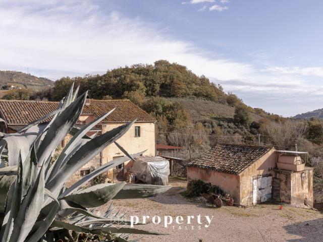 Rustico in vendita a Ripatransone, Ascoli Piceno