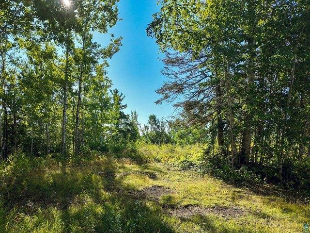 Land for sale in Grand Marais, Minnesota