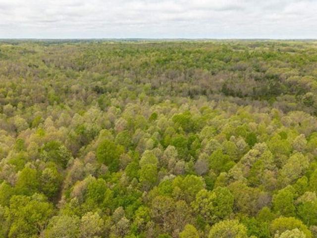 Land for sale in Hartville, Missouri