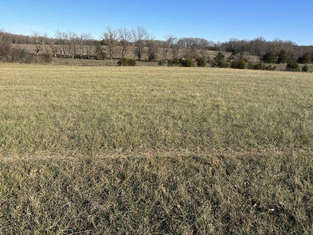 Land for sale in Niangua, Missouri