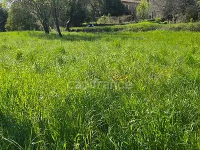 Terrain vente à Le Vigan, Cassagnoles
