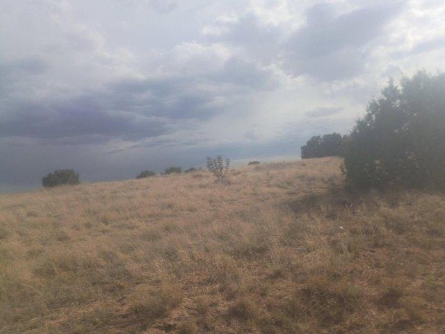 Land for sale in Moriarty, New Mexico