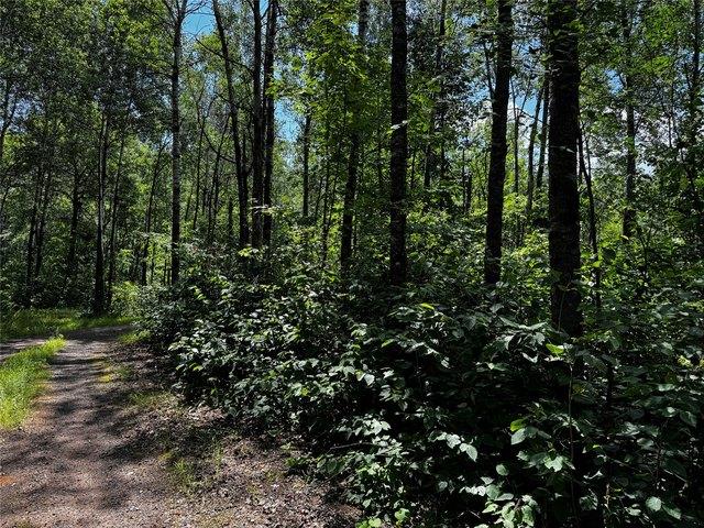 Land for sale in Sawyer, Wisconsin