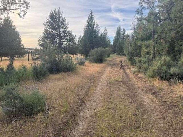 Land for sale in Shasta, California