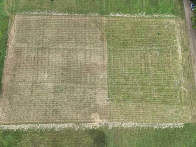 Land for sale in Chelsea, Washtenaw County