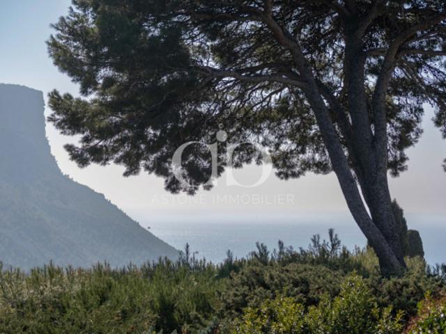 Maison vente à Marseille, Cassis