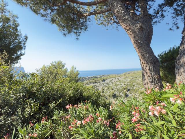 Appartement vente à Marseille, Cassis