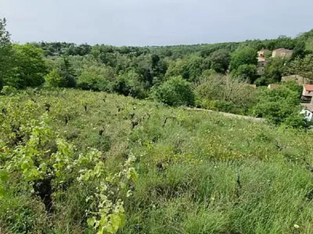 Terrain vente à Toulouse, Castanet-tolosan
