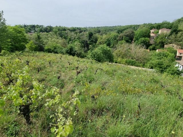 Terrain vente à Toulouse, Castanet-tolosan