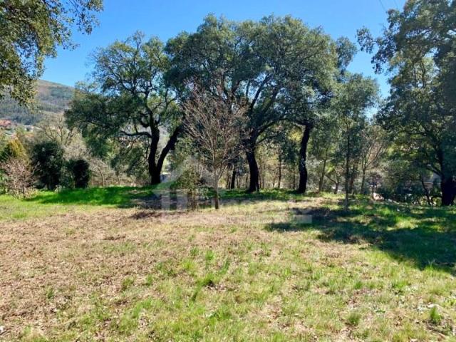 Terreno venda em Castanheira de Pera, Leiria
