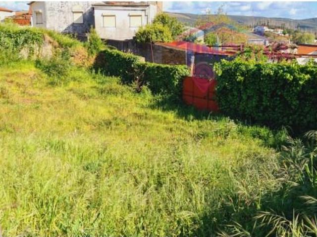 Terreno venda em Castanheira De Pêra, Leiria