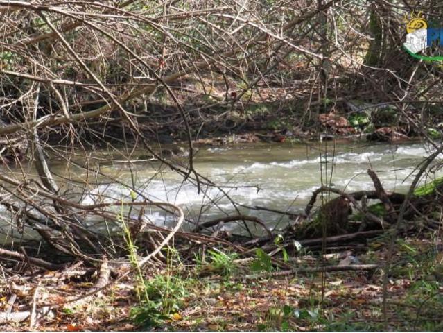 Terreno venda em Castanheira De Pêra, Leiria