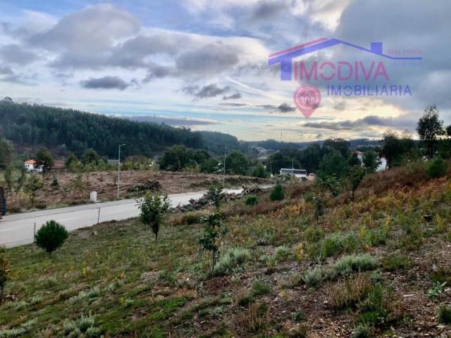 Terreno venda em Castanheira De Pêra, Leiria