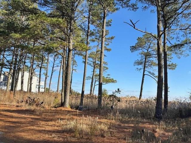 Land for sale in Virginia