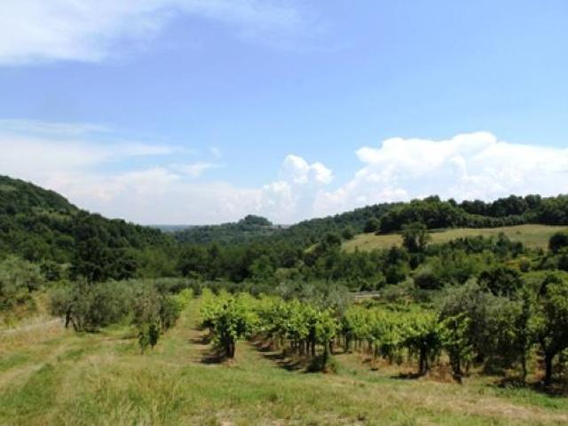 Terreno in vendita a Castel Viscardo, Umbria