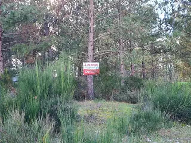 Terrain vente à France métropolitaine, Casteljaloux