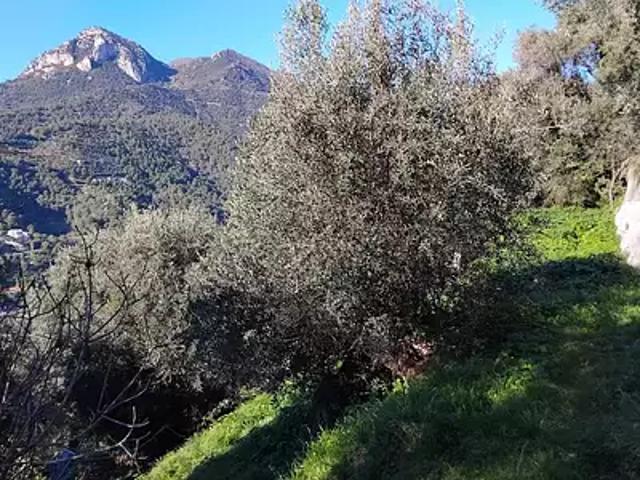 Terrain vente à France métropolitaine, Menton