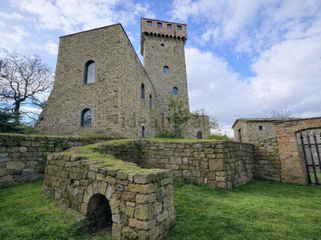 Rustico in vendita a Cortona, Toscana