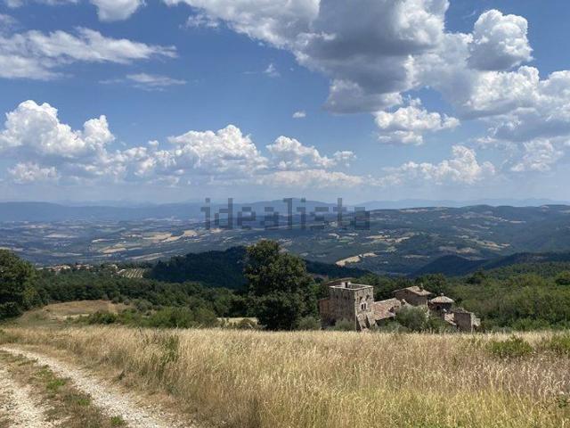 Rustico in vendita a Montelupino, Izzalini