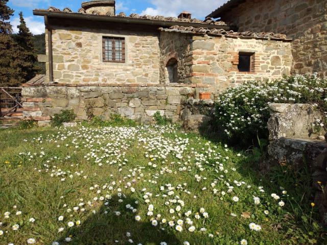 Rustico in vendita a San Polo In Chianti, Toscana