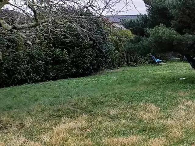 Terrain vente à Lesparre-Médoc, Castelnau-de-médoc