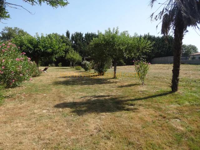 Maison vente à Muret, Castelnau-picampeau