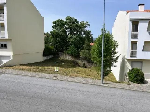 Terreno venda em Castelo Branco