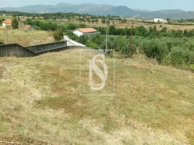 Terreno venda em Castelo Branco