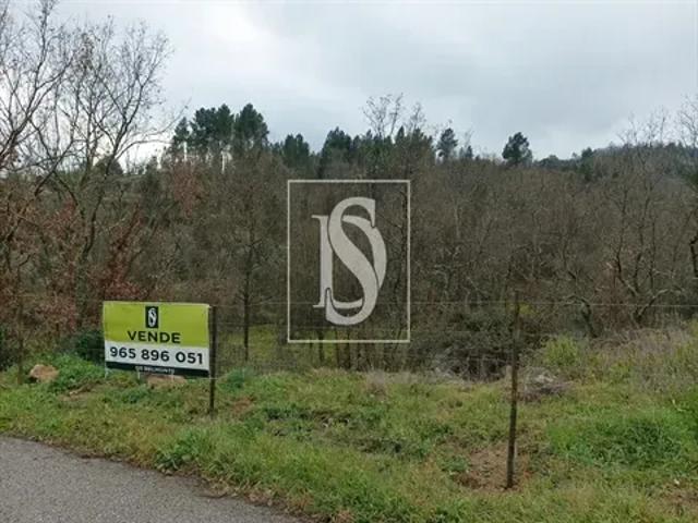 Terreno venda em Castelo Branco