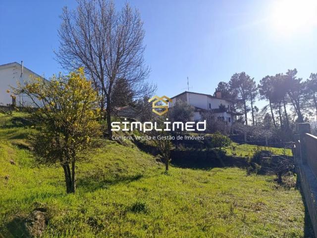 Terreno venda em Castelo Branco
