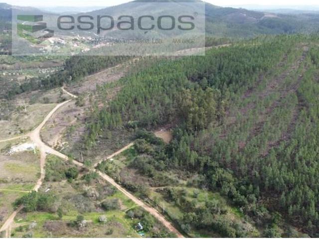 Terreno venda em Sarzedas, Castelo Branco