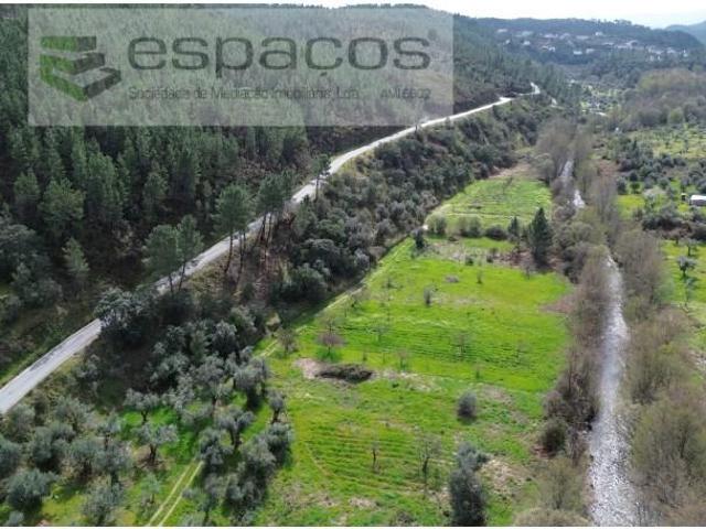 Terreno venda em Castelo Branco