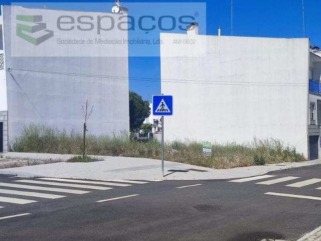 Terreno venda em Castelo Branco