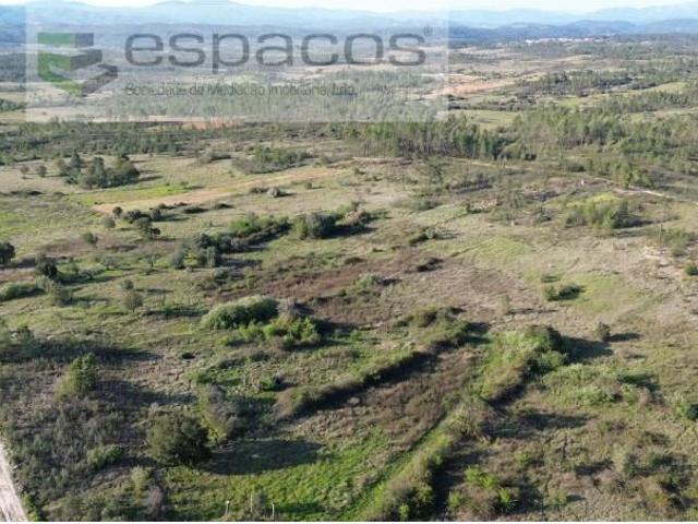 Terreno venda em Castelo Branco