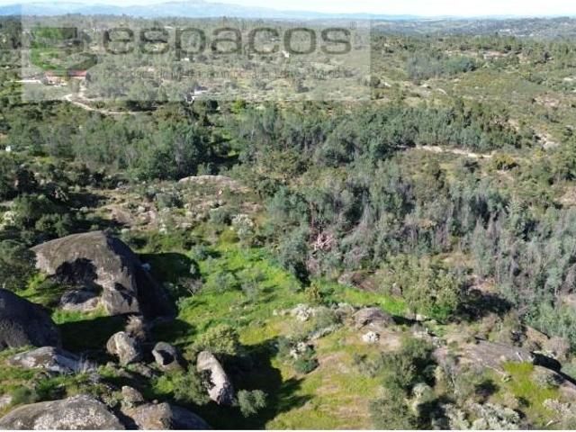 Terreno venda em Castelo Branco
