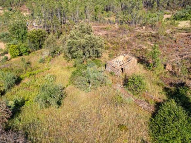 Terreno venda em Castelo Branco
