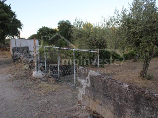Terreno venda em Castelo Branco