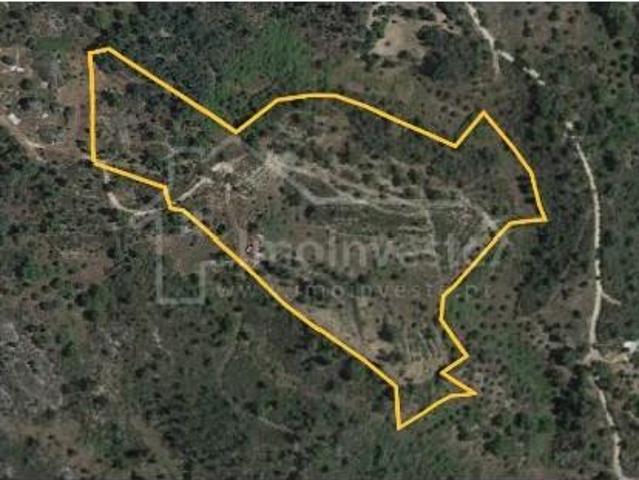 Terreno venda em Castelo Branco