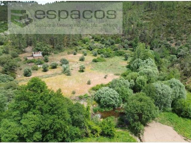 Terreno venda em Castelo Branco