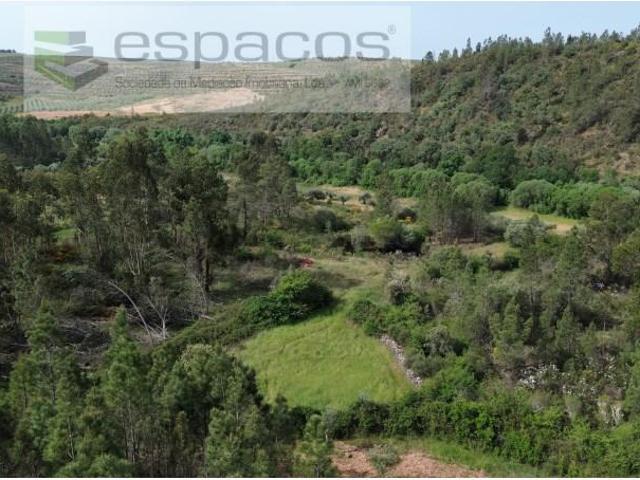 Terreno venda em Castelo Branco