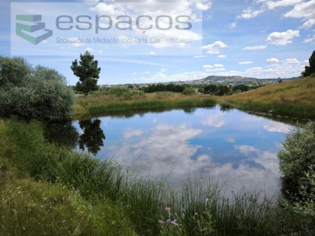 Terreno venda em Castelo Branco