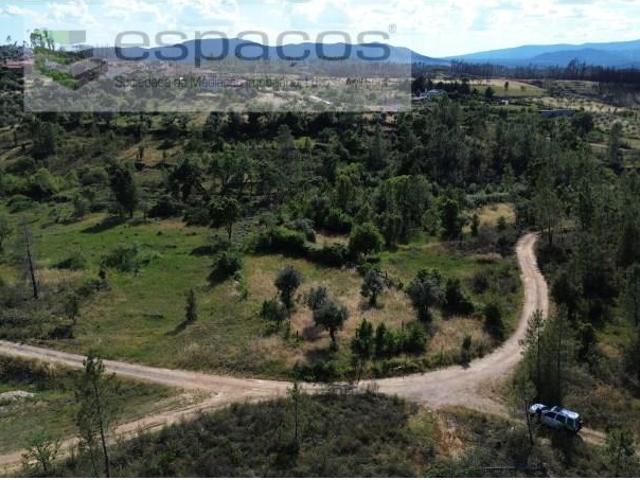 Terreno venda em Castelo Branco