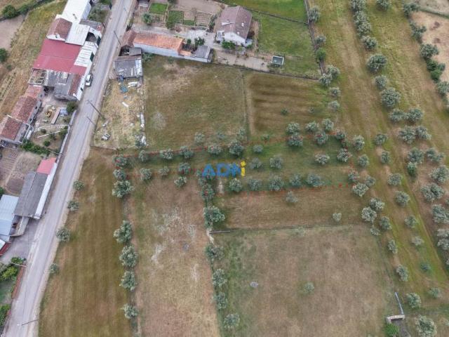 Terreno venda em Castelo Branco
