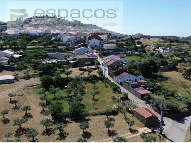 Terreno venda em Castelo Branco