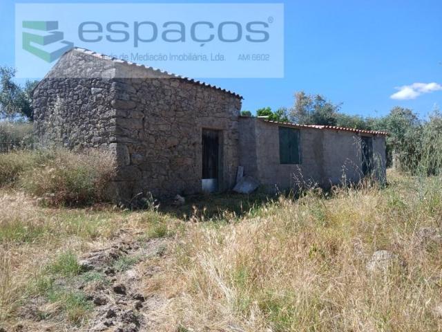 Terreno venda em Castelo Branco