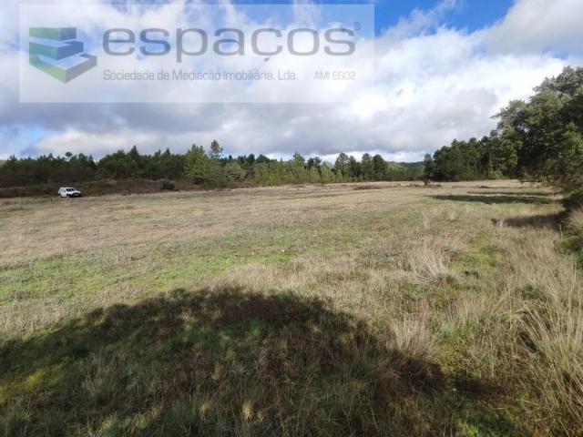 Terreno venda em Castelo Branco