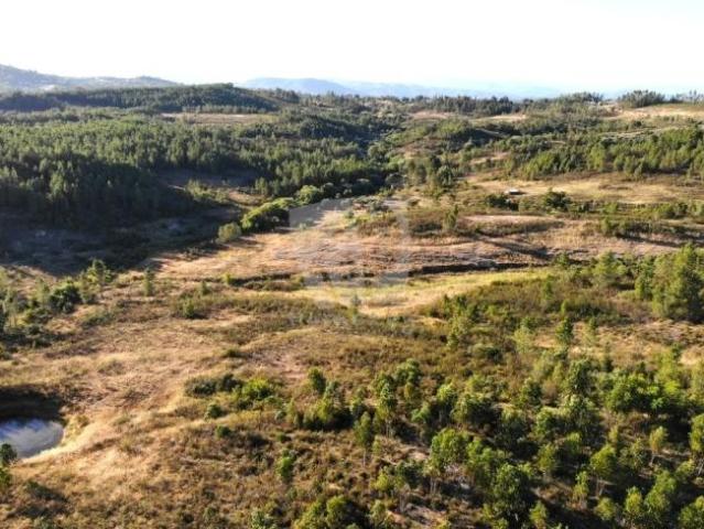 Terreno venda em Castelo Branco