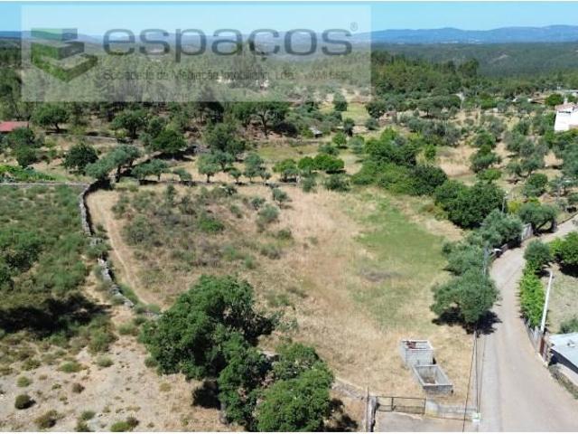 Terreno venda em Castelo Branco