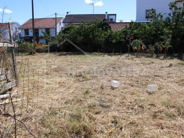 Terreno venda em Castelo Branco