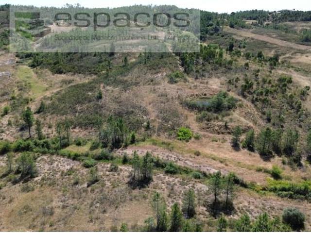 Terreno venda em Castelo Branco